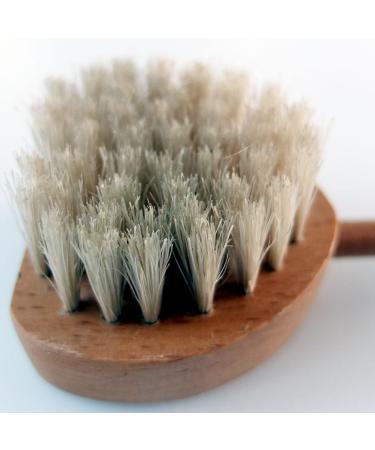 Natural Beechwood Scratching Brush | Bristle Back Scratcher & Massage Brush | Eco-Friendly Grooming Tool - Buy Online on GoSupps.com