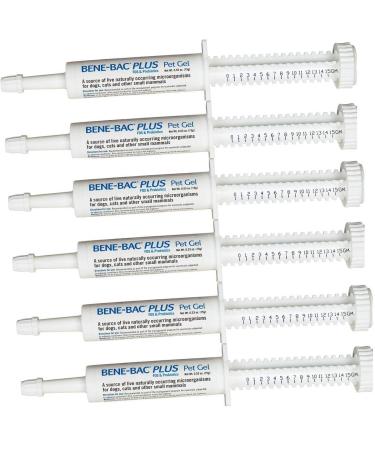 6 Pack Bene-Bac Plus Gel, 15g Syringe 6 -Pack