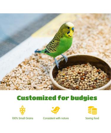 Nobleza - (500g) Parakeet Food Premium Bird Seeds Tasty Bird Food - Buy Online on GoSupps.com