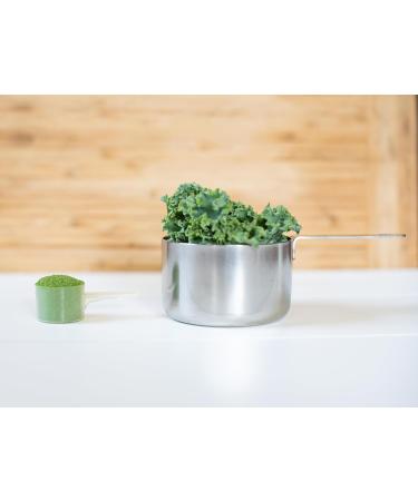 KOYAH - Organic Freeze-dried Kale Powder (Equivalent to 30 Cups Fresh): USA Grown Whole-Leaf Powder - Buy Online on GoSupps.com