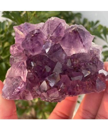 Choice of Gifts 40-120g Natural Dream Amethyst Quartz Crystal Cluster Specimen Vibration Stone Crystal Cluster (Size : 80-100g) - Buy Online on GoSupps.com