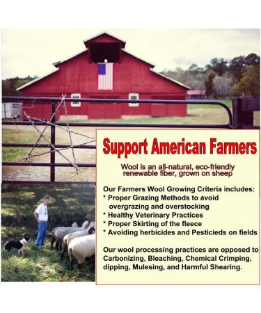 Six Eco-Friendly 100% Wool Dryer Balls with Free Eco-Felt Gift Bag Handmade in America 100% Premium Wool XL Natural and Unscented (Green) Green Bag - Buy Online on GoSupps.com