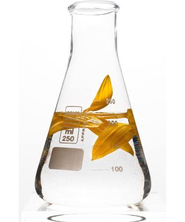 Korres Sunflower & Mountain Tea Conditioner - Buy Online on GoSupps.com