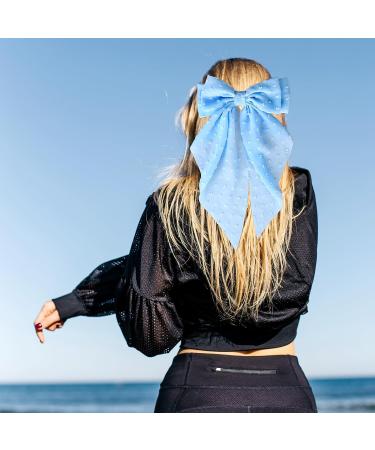 Silky Satin Hair Bows 2 PCS Big Pink/Blue Bow Hair Clips Set Bowknot Metal Spring Clip Oversized Long Tail Hair Ribbons Ponytail Holder French Hair Barrettes Hair Styling Accessories for Women - Buy Online on GoSupps.com