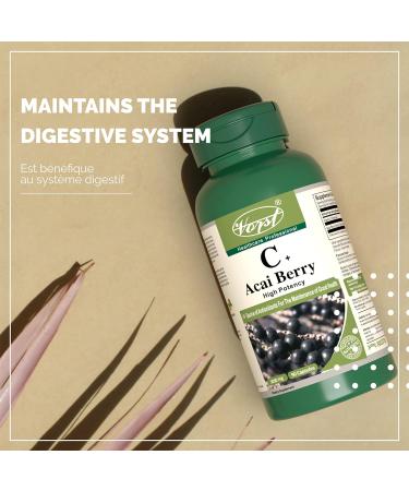 VORST Acai Berry 500mg 10:1 Extract (5000mg Raw Equivalent) with Vitamin C 90 Capsules | Antioxidant Supplement for Digestion Health Immune Health & Anti Aging | Includes Vitamin C | Powder Pills | 1 Bottle 90 count (Pack of 1) - Buy Online on GoSupps.com