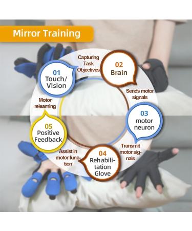 Rehabilitation Robot Gloves for Stroke Hemiplegia Patients Equipment for Hand Pain Relief Therapy Hand Exerciser Aids Robotic Glove(Size:Left Hand L Color:Blue) Left Hand L Blue - Buy Online on GoSupps.com