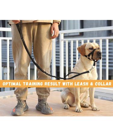 Voarge Dog Muzzle Head Halter Collar for Large Dogs (XXL) | Adjustable & Safety Strap for Easy Control | Small, Medium & Large Breeds - Buy Online on GoSupps.com