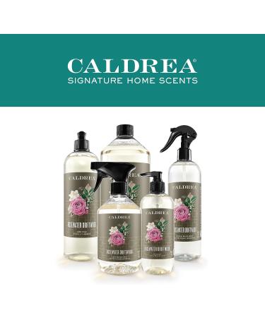 Caldrea Hand Wash Soap with Aloe Vera Gel, Olive Oil & Essential Oils - Rosewater Driftwood Scent - 10.8 oz - Buy Online on GoSupps.com