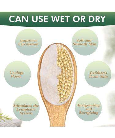 Back Brush Long Handle For Shower - Soft And Firm Double Sided Exfoliating Bath Body Scrub Brush for Men And Women - Use Back Showering Scrubber Wet For Washing/Scrubbing - Use Dry For Exfoliation - Buy Online on GoSupps.com