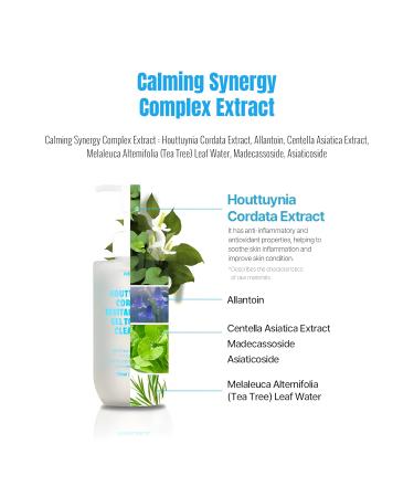 JUSTBEME Houttuynia Cordata Revital Energy Gel To Foam Cleanser/Cleanser for Face Makeup Blackhead Remover Korean Skin Care (200ml / 6.76 fl oz) - Buy Online on GoSupps.com