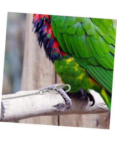 Kisangel Parrot Foot Anklet Cockatiel Leash Bird Foot Ring Bird Leg Ring Coil Chain Pet Harness Chicken Leash 75.00X4.80X4.80CM Silver - Buy Online on GoSupps.com