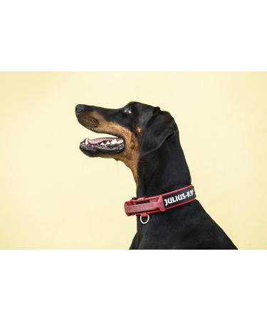 Shop Julius-K9 100HA-K-R-2015 Adjustable K9 Neck Band - Red-Gray with Handle Safety Closure 38-53 cm - International Shipping - Buy Online on GoSupps.com