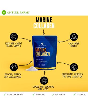 Antler Farms - 100% Pure Clean Marine Collagen Powder from Wild Caught Pacific Snapper 12 oz Soluble in Hot or Cold Liquids Highly Bioavailable Rapid Absorption No Taste or Smell - Buy Online on GoSupps.com