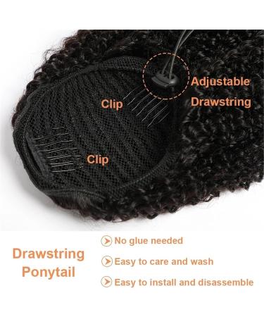 Human Hair Ponytail Hair Piece Drawstring Ponytail Human Hair Ponytail Extensions Fluffy Kinky Curly Ponytail Brazilian Remy Hair Clip in Afro Curly Ponytail Hairpiece Ponytail Hairpiece for Women ( 10inch T1B/4/27 - Buy Online on GoSupps.com