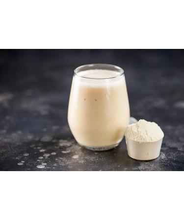 Absorb Plus Elemental Diet Shake - Isolate Protein Diet Supplement for Improved Gut Health - Gluten-Free Lactose-Free Casein-Free Protein Shake for Digestive Support 1 kg French Vanilla - Buy Online on GoSupps.com