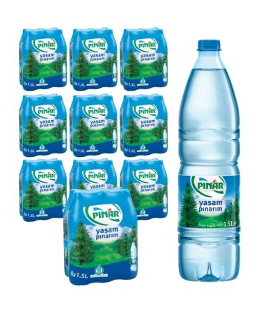 Pufai grocery Lot de 60 bouteilles d'eau de source naturelle Hamidiye 1500 ml