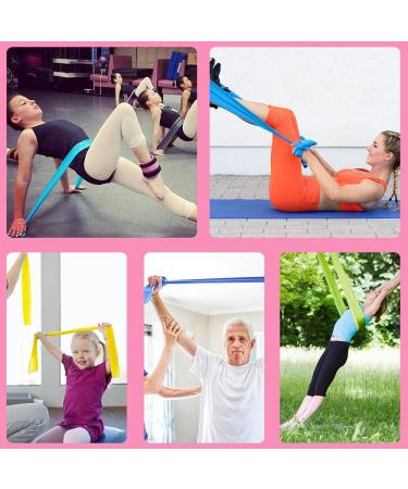Premium Imoebel Fitness Bands - 2 Strengths (8-10kg & 12-15kg) | 1.8m & 2m Resistance Straps for Yoga Pilates & CrossFit - 2er Set in Pink & Blue - Buy Online on GoSupps.com