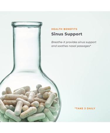 Breathe-X Allergy & Sinus Support by LifeSeasons | 15 Vegicaps for Natural Relief - Buy Online on GoSupps.com