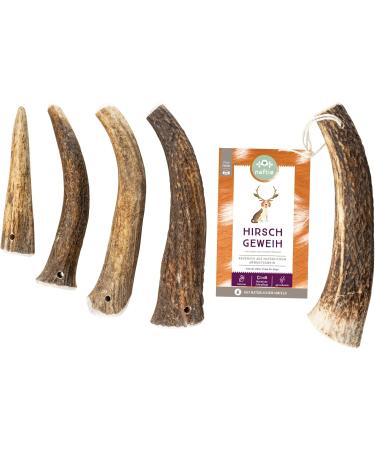Naftie Deer Antler Bar for Small Dogs & Puppies - Long Lasting Dental Care Snack - Low Odor Antler Whole Piece - Buy Online on GoSupps.com