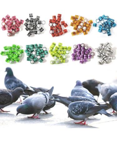 Christol Pigeon Feet 50 Pieces | Colorful T rkiye Leg Tapes for Birds | 8mm Poultry Plastic Clips - Buy Online on GoSupps.com