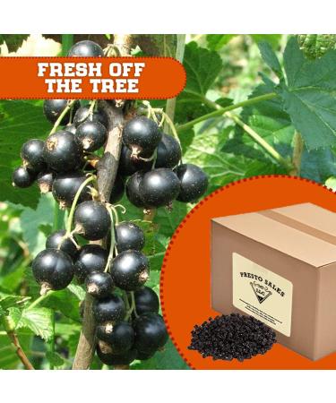 Organic USA Zante Currants - Dried Seedless Grapes 10 lbs. - Sweet & Tangy Superfood Snack by Presto Sales LLC - Buy Online on GoSupps.com