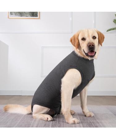 Dog Surgery Recovery Suit | Medical Pet Shirt for Male/Female Dogs | Spay Alternative | Protect Wounds | XS Grey - Buy Online on GoSupps.com