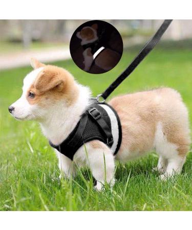 Buy Bojly Cat Dishes with Leash | Outbreak-Proof Safety Harness & Anti-Lost Bell for Dogs & Cats - Buy Online on GoSupps.com