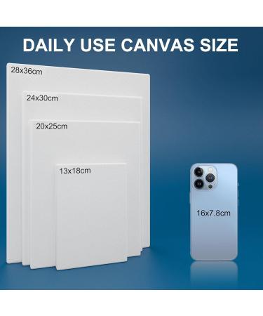Artkey 8x10 Inch 10 Pack Canvases - Triple Primed Acid-Free 100% Cotton Blank Canvas for Oil Paint Acrylics - 10 oz - Art Canvases (10-PACK) - Buy Online on GoSupps.com