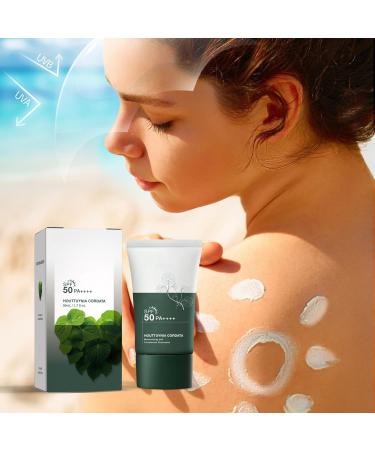 Heartleaf Houttuynia Cordata Silky Korean Moisturizing Spf 50+ Sun Cream Heartleaf Silky Moisture Sun Cream Heartleaf Silky Moisturizing Sunscreen Houttuynia Cordata Sunscreen (1PC) - Buy Online on GoSupps.com