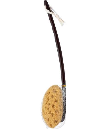 SPA BELLA Faux Sea Sponge Bath Brush - Gentle Exfoliation Tool for Smooth Skin | 1 EA - Buy Online on GoSupps.com