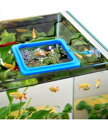 WEAVERBIRD 2PCS Fish Feeding Ring Fish Safe Floating Food Feeder Circle Blue with Suction Cup Easy to Install Aquarium Square and Round Shape for Guppy Betta Goldfish - Buy Online on GoSupps.com