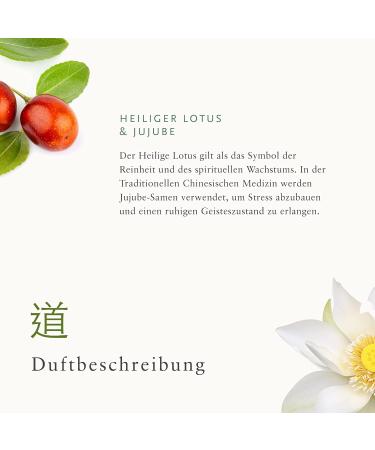 RITUALS Bubble Bath - The Ritual of Jing 500ml | Soothing Relaxation with Sacred Lotus Jujube & Chinese Mint - Shop Internationally - Buy Online on GoSupps.com