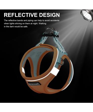 Doramio Reflective Dog Harness & Leash for Small Dogs & Cats - Step-In Breathable Anti-Train Safety Design (XXS Orange/Blue) - Buy Online on GoSupps.com