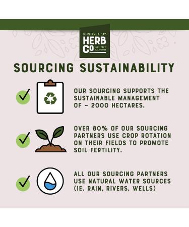 Ginger Root Powder, by Herb Co, 100% Pure Natural Spice for Cooking, Baking, Bath Soaks & Body Scrubs - No Fillers or Additives, 1 lb Ginger Root Powder 16 Ounce (Pack of 1) - Buy Online on GoSupps.com