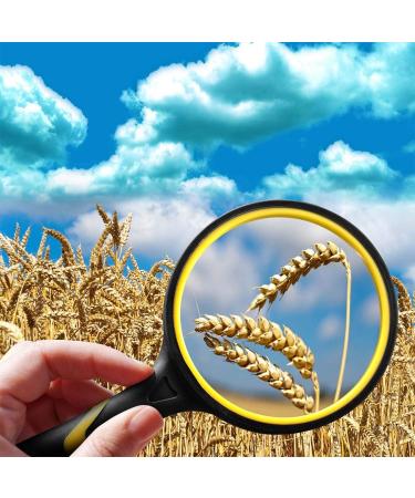 Lnchett 75mm Magnifying Glass with Non-Scratch Lens - Lightweight and Durable for Seniors & Kids - Buy Online on GoSupps.com