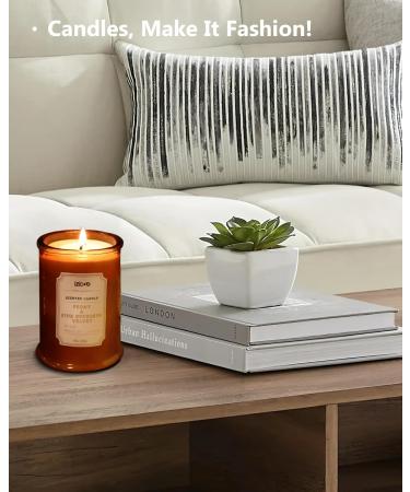 IZIDDO Peony & Leather Scented Candle - 10oz Natural Handmade Gift for Him & Her - Elegant Brown Candle Jar - Buy Online on GoSupps.com