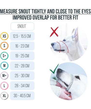 Gentle Muzzle Guard for Dogs - Prevents Biting and Unwanted Chewing Safely New Secure Comfort Fit - Soft Neoprene Padding No More Chafing Included Training Guide Helps Build Bonds with Pet (L Blue) Blue L (Pack of 1) - Buy Online on GoSupps.com