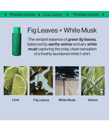 OffCourt - Deodorant Body Spray 3 Pack in Scents of Sandalwood Citrus and Fig Leaves Bundled with Facial Moisturizer - Buy Online on GoSupps.com