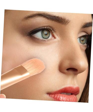 FRCOLOR Makeup Tool 3 Sets Travel Makeup Girls Eyeshadow Brush Mini Brush Beauty Kit Cosmetics Supply Face Beauty Tools Foundation Brush for Makeup Miss Wooden Handle Wood Lip Brush - Buy Online on GoSupps.com