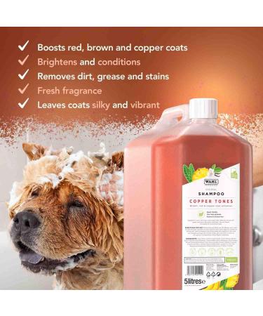 Buy WAHL Copper Tones Pet Shampoo - International Shipping Available | Premium Pet Care - Buy Online on GoSupps.com