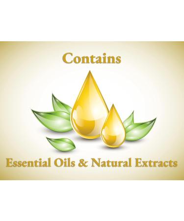 Hassett Green London - Christmas Celebrations - Fragrance Oil Reed Diffuser Refill - Larger Size 250ml Bottle Refill 250ml - Buy Online on GoSupps.com