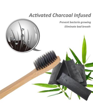 Natural Organic Charcoal Teeth Whitening Powder with Bamboo Toothpaste & 2 Toothbrushes - Freshens Breath, Removes Stains - Buy Online on GoSupps.com
