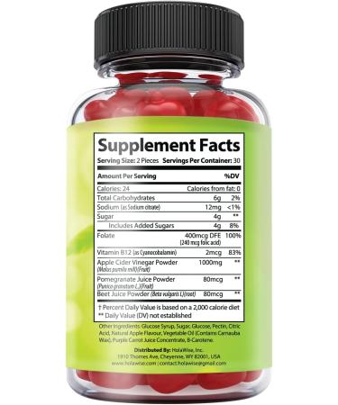 HolaWise Apple Cider Vinegar Gummies 60ct ACV Keto Gummies Support Healthy Weight Digestion Detox and Cleansing Immune Support Gut Health Ketosis Keto Start ACV - Buy Online on GoSupps.com