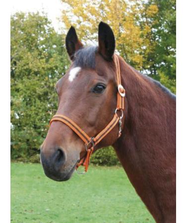 Buy Kerbl Nylon Halter Hippo - Adjustable Nylon Halters for Pony Shetty Full and XFull in 6 Colors - Durable Large Navy/Light Blue Options - Buy Online on GoSupps.com