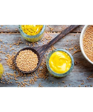  Mautner Markhof Mautner Markhof Creamy Soft & Gentle Mustard - 200g - Buy Online on GoSupps.com