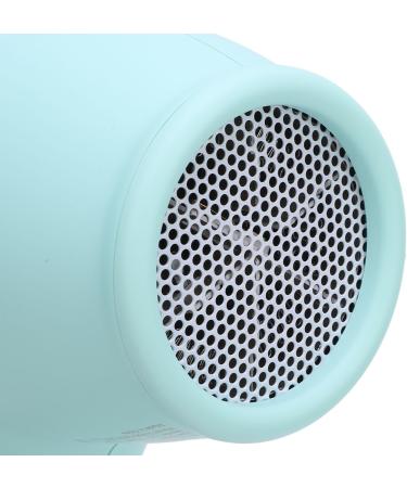 Portable Ionic Hair Dryer for Kids with Negative Ions Constant Temperature Control Hairdryer Lightweight Green for Home Travel with Cool Skin Modes (US Plug 110V) - Buy Online on GoSupps.com