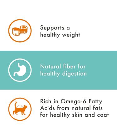 Nutro Wholesome Essentials Indoor and Sensitive Digestion Dry Cat Food  Chicken Indoor Adult 5 Pound (Pack of 1) - Buy Online on GoSupps.com