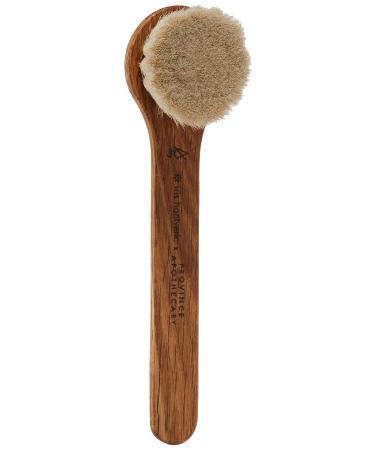 Province Apothecary Women's Daily Glow Facial Dry Brush  One Size