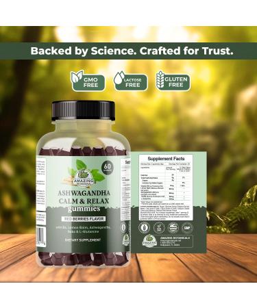 Ashwagandha Calm & Relax Gummies with Vitamin B6 Lemon Balm GABA & L-Glutamine 60 Gummies Red Berries Flavor Improve Sleep Stress Relief & Mood Vegan Gluten-Free Non-GMO - Buy Online on GoSupps.com
