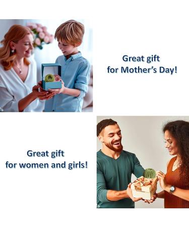 3Pcs Birds Nest Hair Clips & Velvet Plate Hair Pins Set - Fashion Hair Accessories for Women & Girls - Multicolor - Buy Online on GoSupps.com